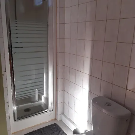 Holiday home Fuer 10 Personen In Vogelsgruen, Sachsen Vogtland *