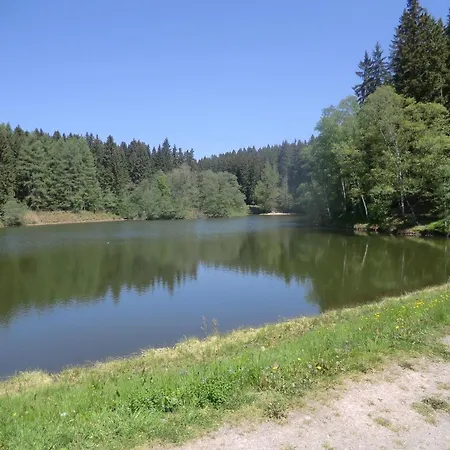 Fuer 10 Personen In Vogelsgruen, Sachsen Vogtland Holiday home Schnarrtanne