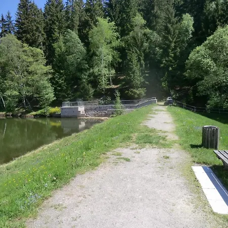 Fuer 10 Personen In Vogelsgruen, Sachsen Vogtland Holiday home *